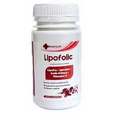 Nutrilab Lipofer Boite De 60 Gelules