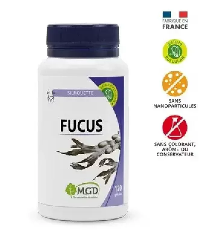 MGD FUCUS BOITE DE 120 GELULES