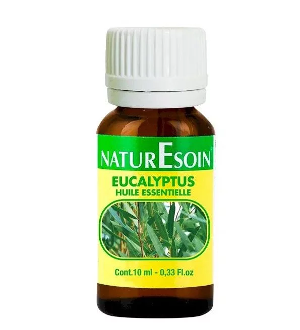 NATURESOIN HUILE ESSENTIELLE D'EUCALYPTUS 10ML