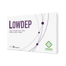 LOWDEP FORT BOITE DE 30 COMPRIMES