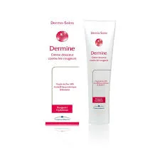DERMO-SOINS DERMINE CREME 80G GRAND MODELE