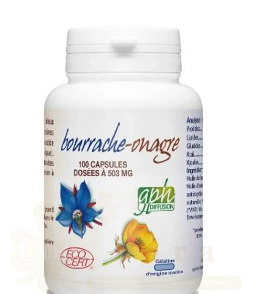 GPH BOURRACHE-ONAGRE 503MG BOITE DE 100 CAPSULES