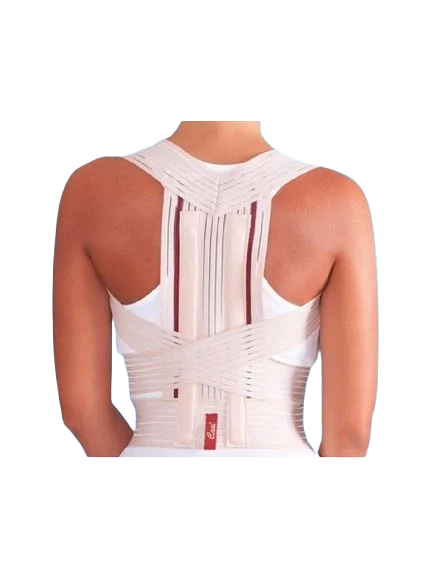 CASE REDRESSE DOS TAILLE L REFERENCE HB 5247 