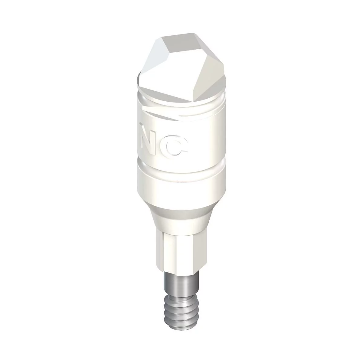 STRAUMANN NC CORPS DE SCANNAGE COMPRENANT VIS DE FIXATION LONGUEUR 11.7MM PO REFERENCE 025.2905