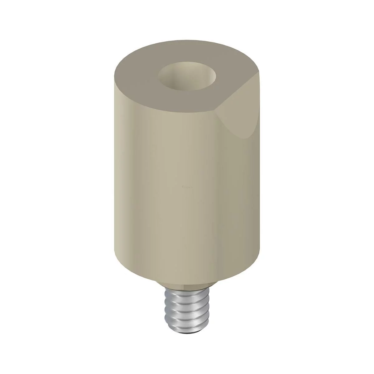 RN STRAUMANN CARES CORPS DE SCANNAGE MONO COMPRENANT VIS DE FIXATION POUR LE SCANNER SCAN CS2 A PARTIR DE LA VERSION LOGICIELLE STRAUMANN CARES VISUAL 6.2  6.5MM H 10 MM PEEK TAN REFERENCE 048.169
