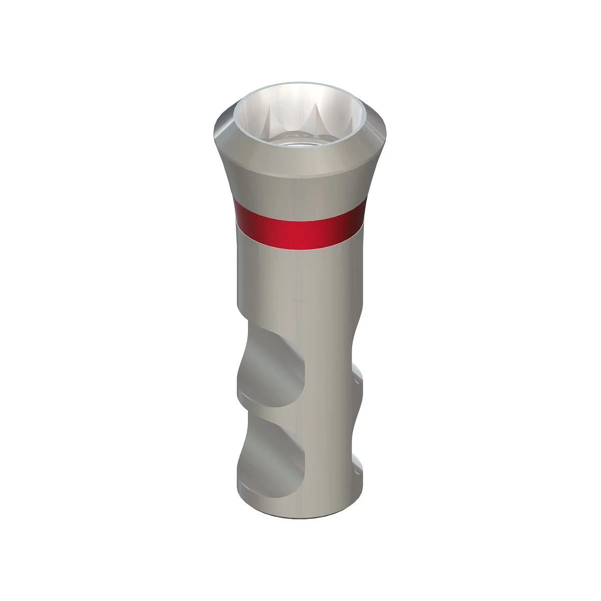 RN SYNOCTA IMPLANT DE MANIPULATION GRIS AVEC REPERE ROUGE LONGUEUR 12MM ACIER INOXYDABLE REFERENCE 048.124