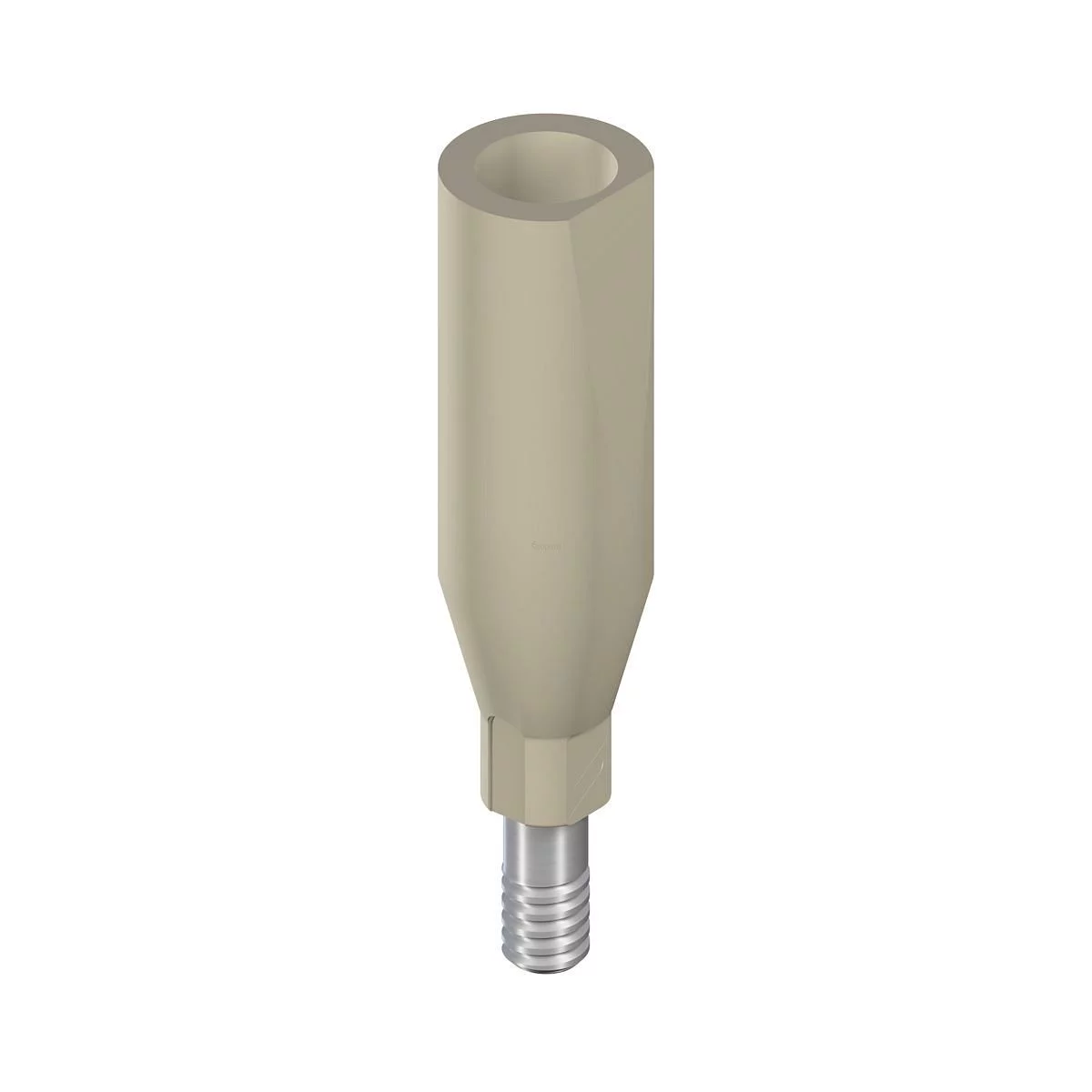 SC CARES CORPS DE SCANNAGE MONO D 3.5MM H 10MM PEEK TAN REFERENCE 025.0025